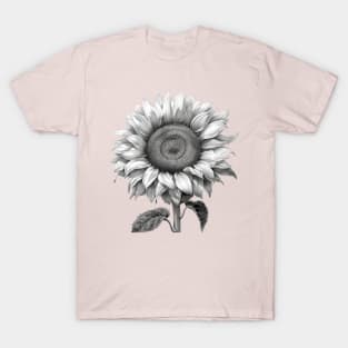 Black and White Sunflower T-Shirt